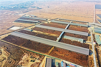 <p>　　中煙“飛地”肉牛養(yǎng)殖園區(qū)。本報實習(xí)生　彭斌　攝</p>