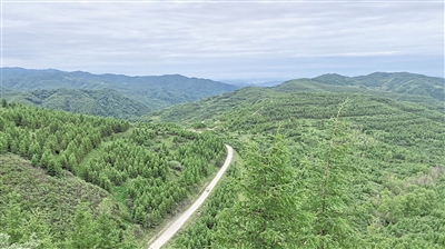 <p>　　涇隆公路沿線(xiàn)景致（資料圖片）。全區(qū)山林權(quán)改革實(shí)施以來(lái)，林地確權(quán)有了新突破。重點(diǎn)縣區(qū)權(quán)屬無(wú)爭(zhēng)議林地確權(quán)率達(dá)到98.27%，依申請(qǐng)頒發(fā)林權(quán)類(lèi)不動(dòng)產(chǎn)證233本，基本實(shí)現(xiàn)“應(yīng)確盡確”。登記頒證有了新模式。鹽池縣將確權(quán)的林地量化為股權(quán)，實(shí)現(xiàn)　“分股不分山”“分利不分林”。彭陽(yáng)縣變單戶(hù)發(fā)證為聯(lián)戶(hù)發(fā)證，首創(chuàng)《山林地確權(quán)明白書(shū)》，破解“一戶(hù)多證”的難題。植綠護(hù)綠有了新主體?；蒉r(nóng)區(qū)通過(guò)建立林票換能票、能票換鈔票、鈔票換林票的“三票”聯(lián)動(dòng)機(jī)制，引入社會(huì)資本5600萬(wàn)元。林權(quán)融資有了新渠道。靈武市設(shè)立政府回購(gòu)基金，通過(guò)“預(yù)回購(gòu)+林權(quán)質(zhì)押+擔(dān)保+貸款”的林業(yè)金融服務(wù)模式，為經(jīng)營(yíng)主體授信擔(dān)保貸款。流轉(zhuǎn)收益上了新臺(tái)階。彭陽(yáng)縣集體林地流轉(zhuǎn)交易價(jià)格從2021年的每畝13—20元增長(zhǎng)到2022年的每畝37—250元，帶動(dòng)集體林地經(jīng)營(yíng)權(quán)流轉(zhuǎn)增值效應(yīng)逐步顯現(xiàn)。</p><p>　　目前，已有5宗山林權(quán)在自治區(qū)公共資源交易平臺(tái)完成交易，成交金額169.27萬(wàn)元，成交面積2504.5畝。本報(bào)記者　毛雪皎</p>