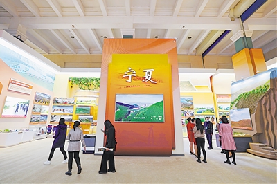寧夏展區(qū)借助實(shí)物、模型、圖片、裸眼3D技術(shù)等，展示了黨的十八大以來寧夏所取得的不凡成就。