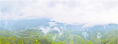     清晨，薄霧籠罩六盤山。
