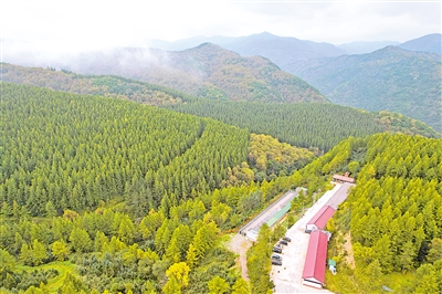     位于六盤山國家森林公園內(nèi)的王化南護(hù)林點(diǎn)。