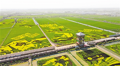     稻漁空間生態(tài)休閑觀光園。
