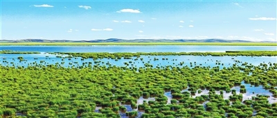 四川省阿壩州若爾蓋花湖濕地國(guó)家級(jí)自然保護(hù)區(qū)。<br/>　?。ㄈ魻柹w攝影家協(xié)會(huì)供圖）