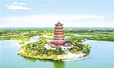 山東省濱州市濱城區(qū)蒲湖公園。大眾日?qǐng)?bào)記者 程芃芃 攝