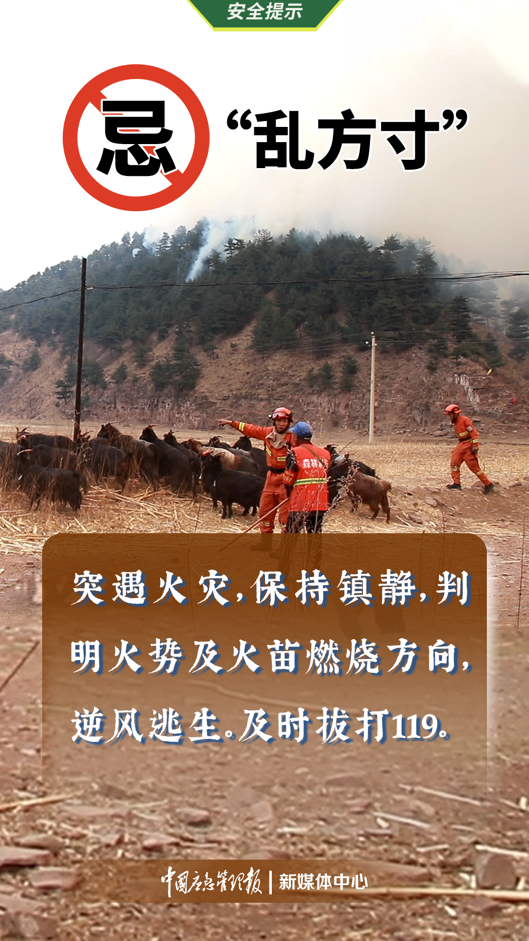 微信圖片_20240330210218.png